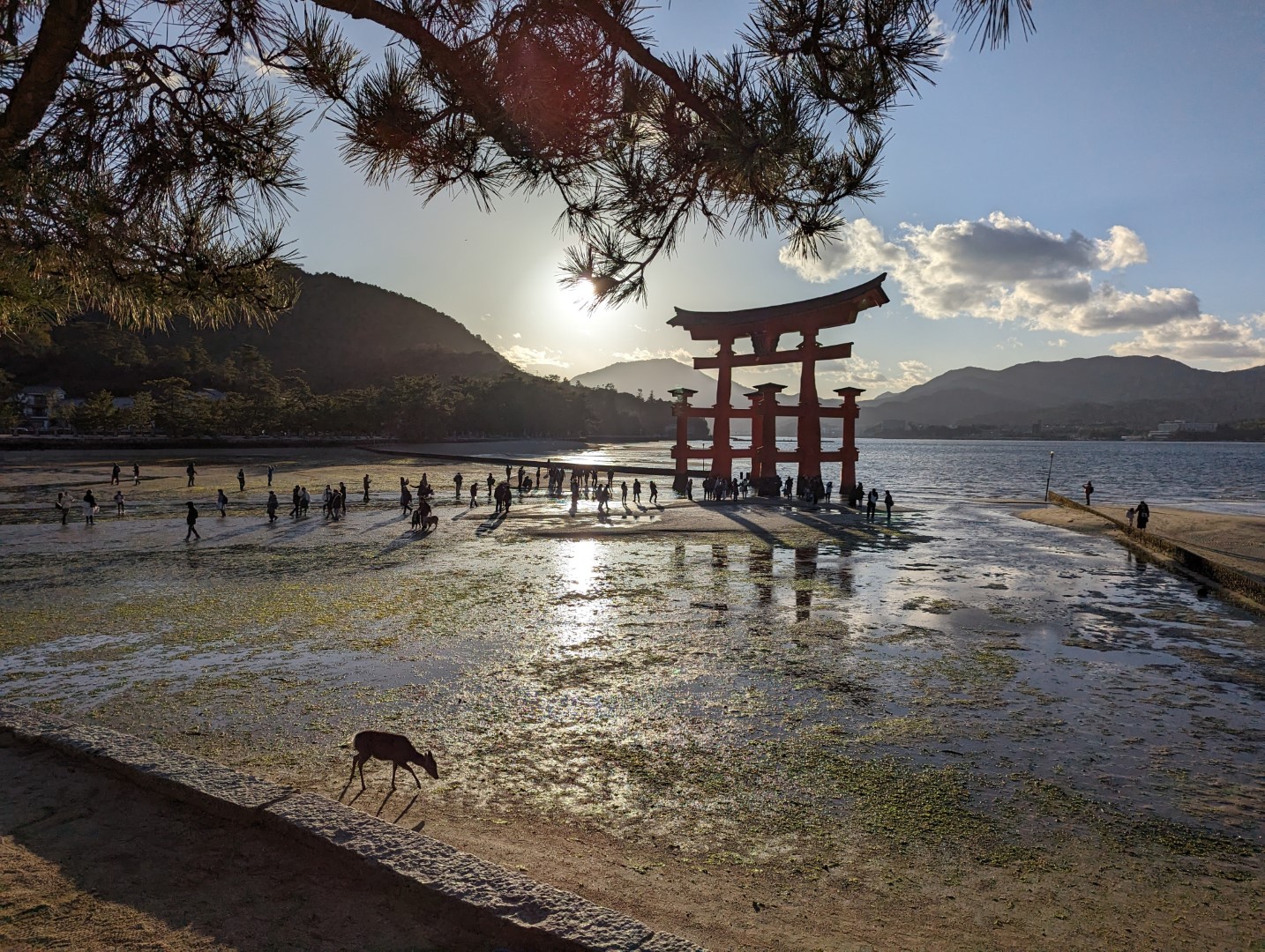 Saying Farewell to our Favorite Flavors of Japan