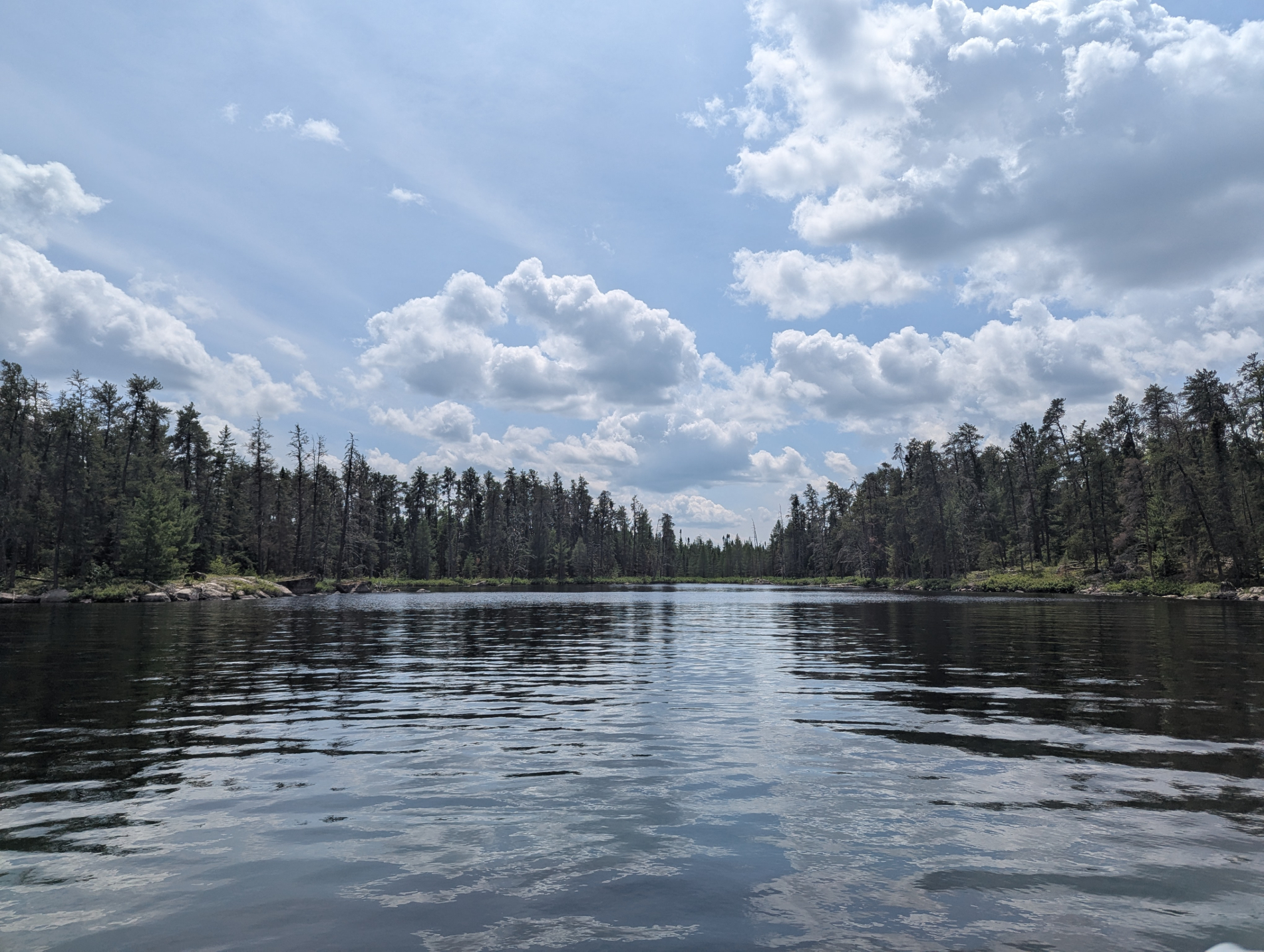 Catching Up with Loved Ones in the Beautiful Minnesotan Summer
