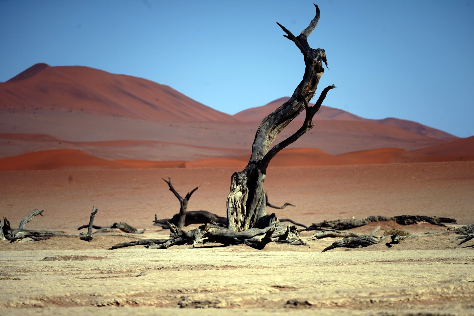 Scaling Dunes in the Deserts of Namibia