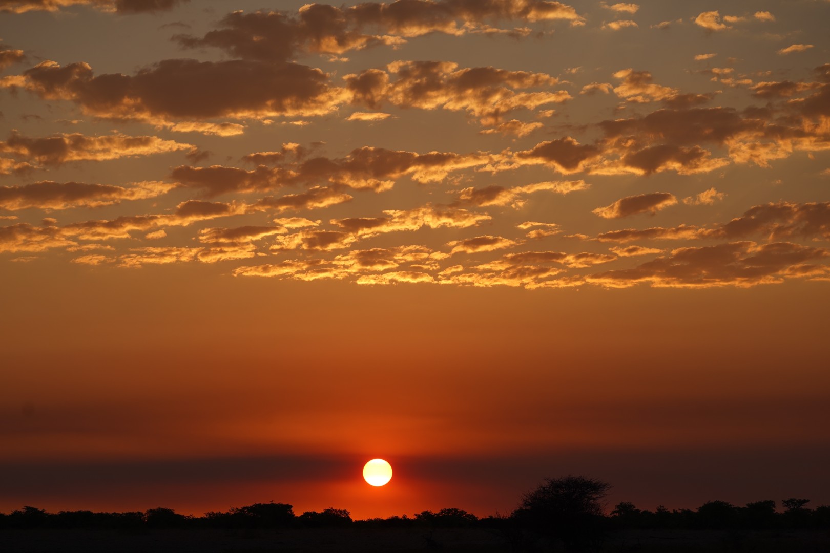 Witnessing the Big Five in Namibia