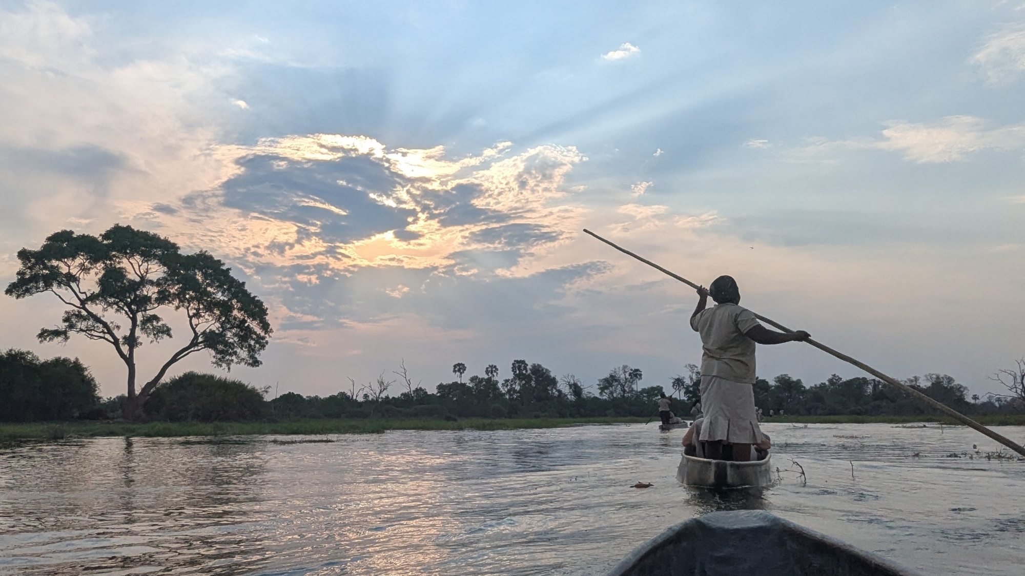 Poling through the Okavango Delta in Botswana