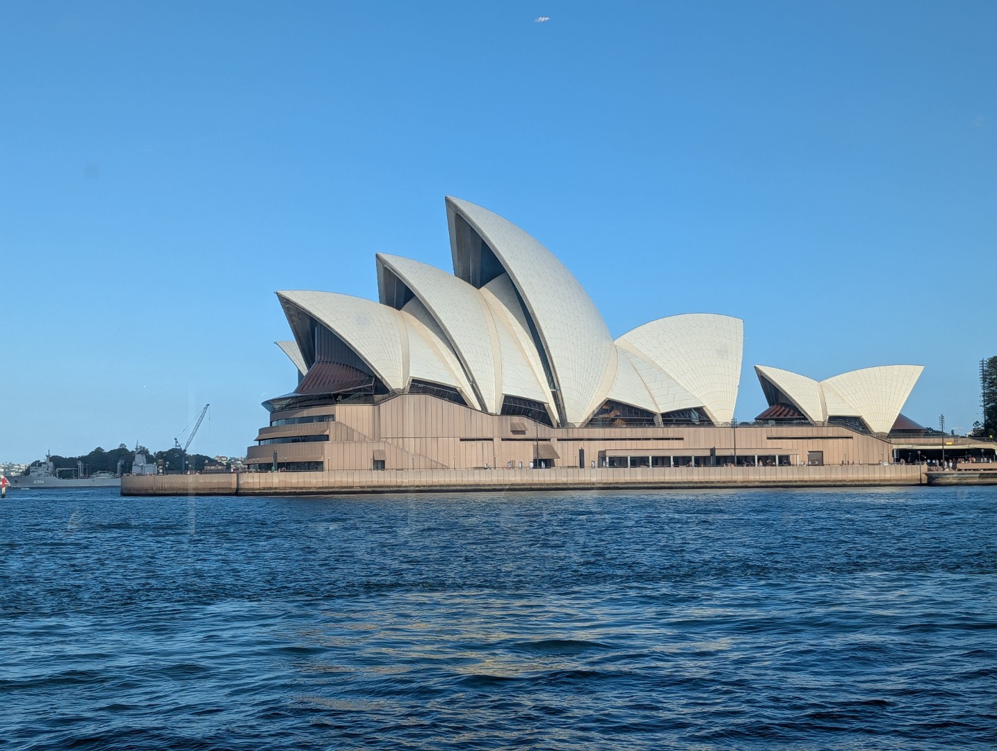 Playing Hide and Seek Across Sydney, Australia